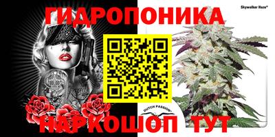 ГАЛЛЮЦИНОГЕННЫЕ ГРИБЫ Кандалакша