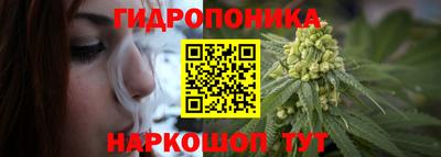 ГАЛЛЮЦИНОГЕННЫЕ ГРИБЫ Кандалакша