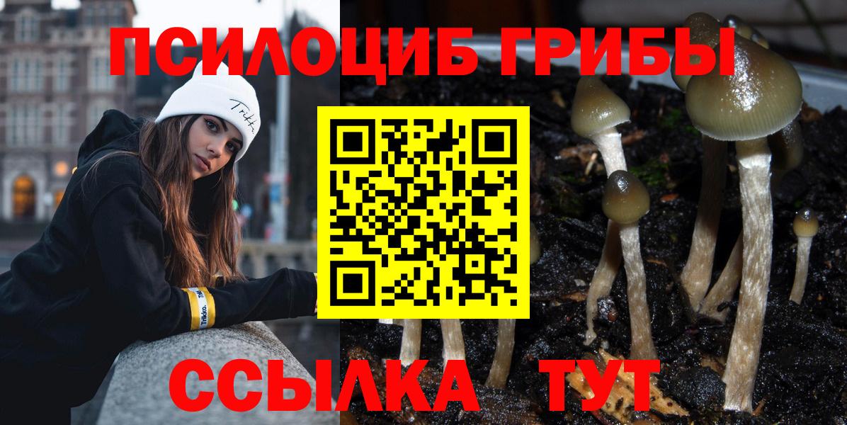 Красноярск  Галлюциногенные грибы мицелий  Вход с VPN  Псилоцибиновые грибы мухоморы 